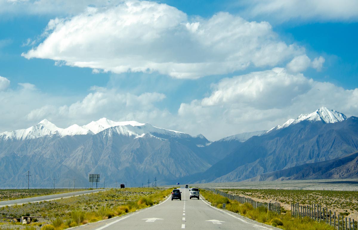 我的旅行日记之青海,我的旅行日记高原茶场