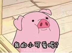 乐理0基础学习免费,乐理零基础学吉他