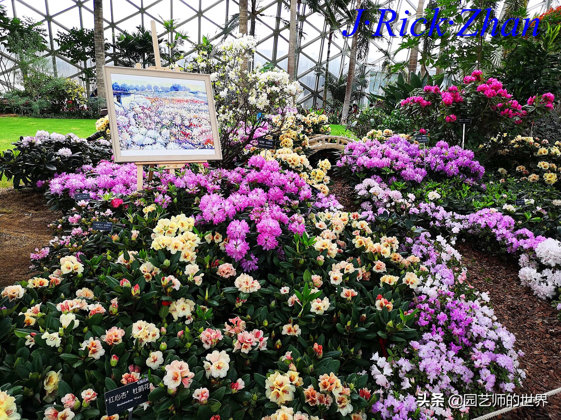 园艺研学报告,园艺园林研学