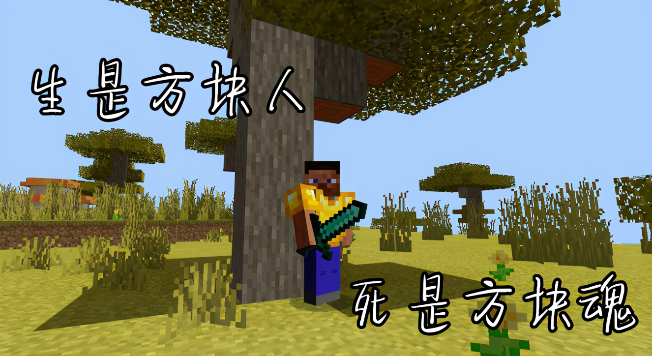 我的世界画质真的看不懂,我的世界画质那么高有什么用