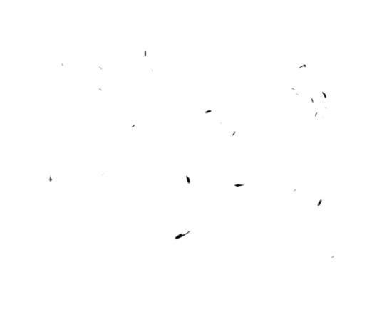 ps双色复古人物海报,ps墨水叠加风格人像海报