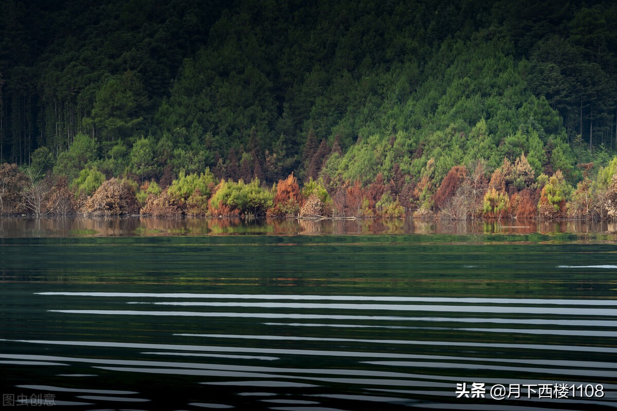 衡阳八中和长沙四大名校,衡阳市八中vs市一中