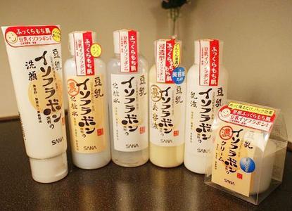 日本好的纪念品有哪些,在日本能买到的一种东西