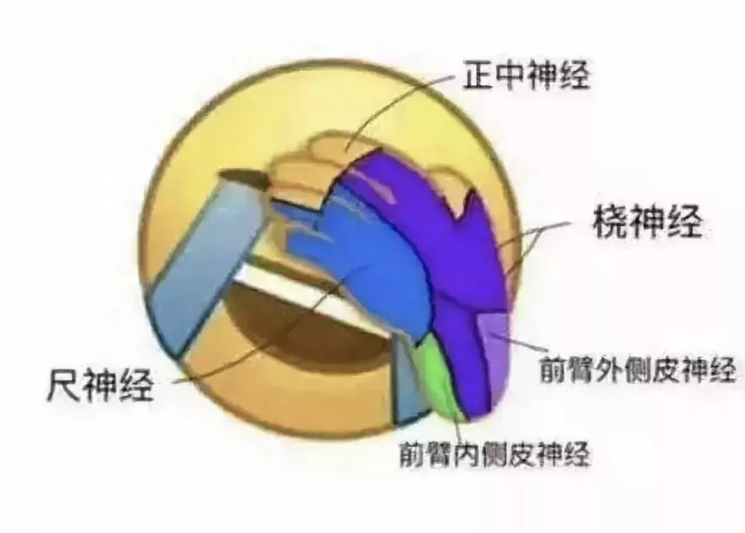 远离学医的女生,女朋友是学医的不要招惹她