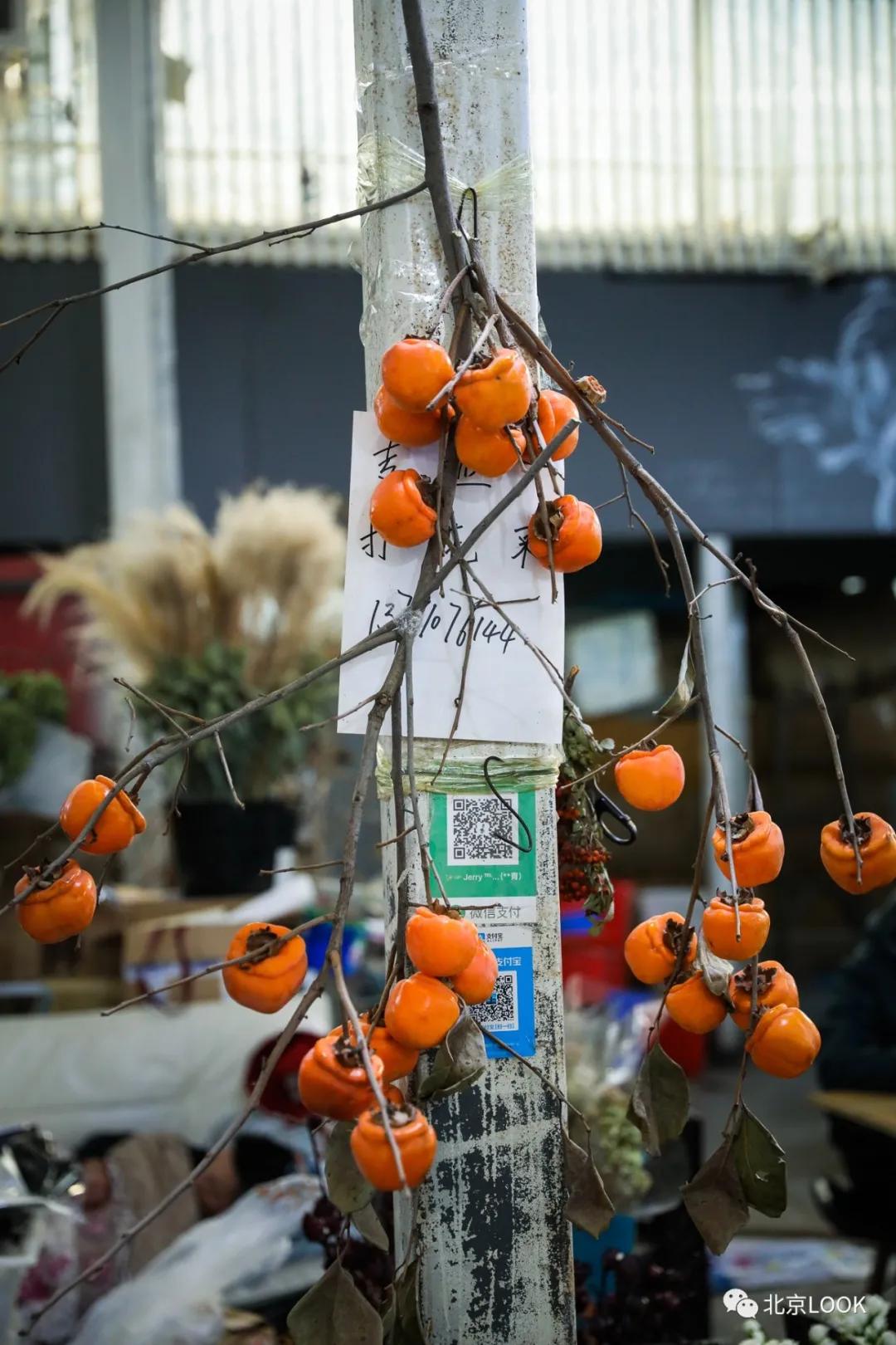 北京最大的露天花卉,北京最大的花卉大观园