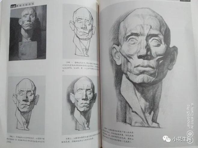 从零开始学绘画必备的画,从零开始学绘画第一步教程