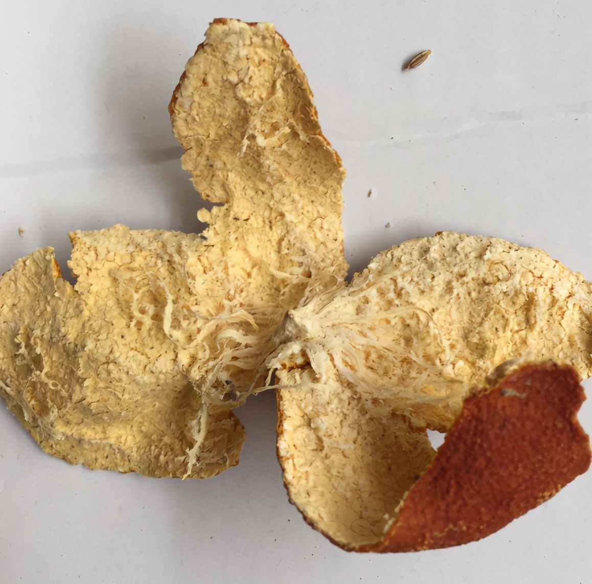 煲狗肉的做法教程,煲狗肉放什么菜最好吃