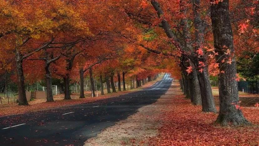 自媒体vlog怎么赚钱,如何做短视频自媒体赚钱