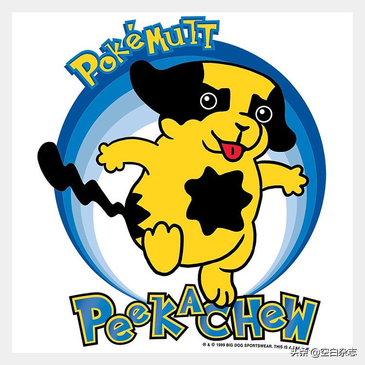 美国人的时尚偶像，竟然是一只狗