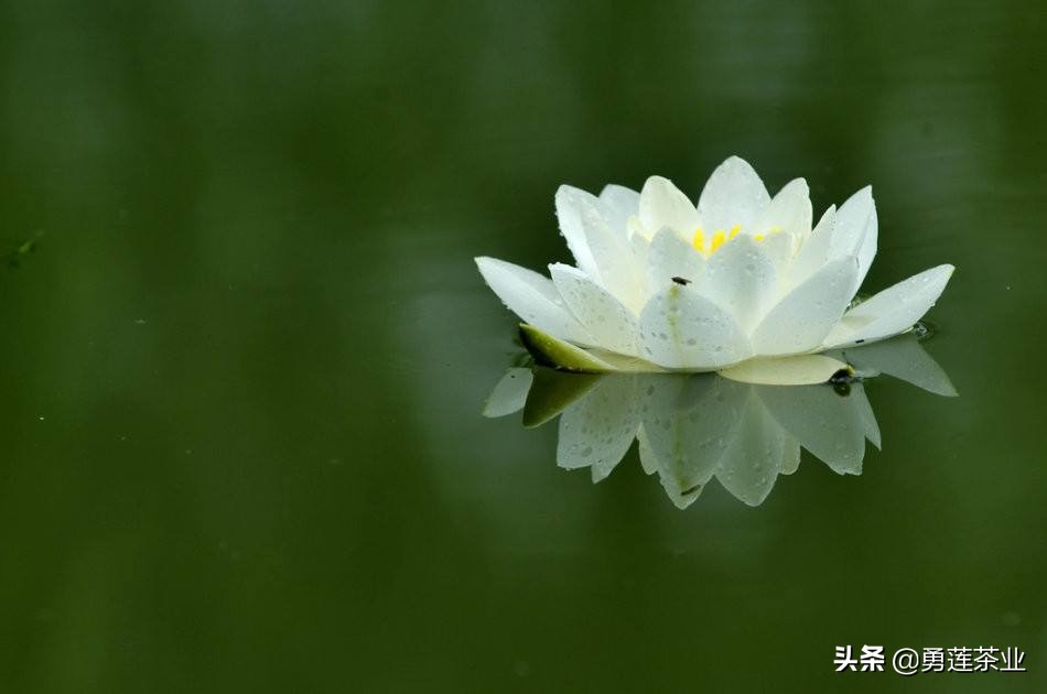 古今贤文劝学篇朗读,古今贤文增广贤文全文解读