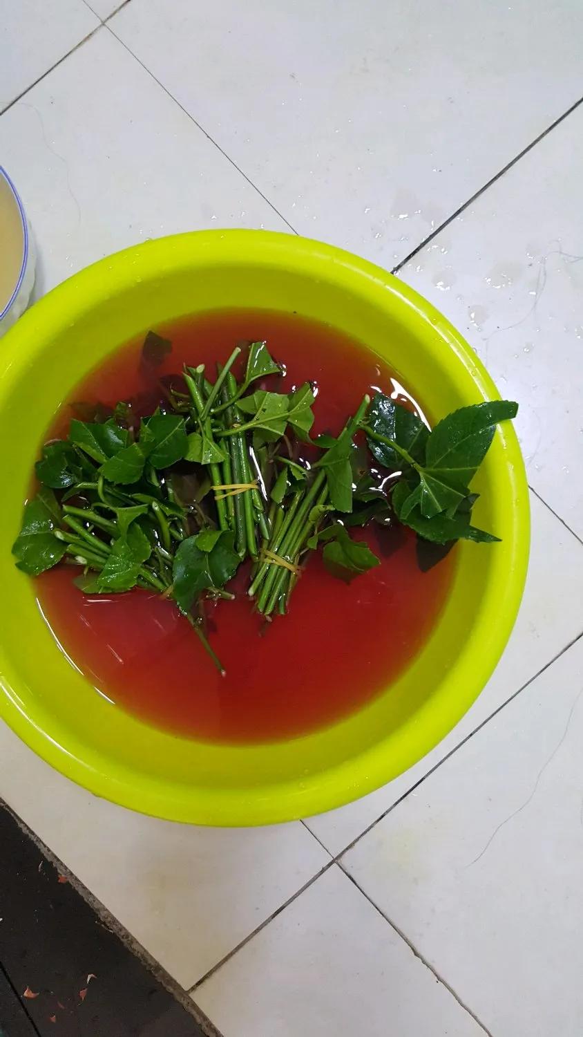 一根枝插土里就能成活的果树,大树枝直接插土里能活吗