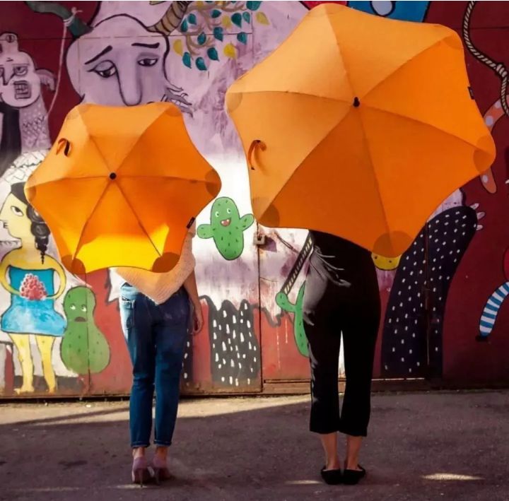 伞小众雨伞,雨伞高颜值ins长柄伞