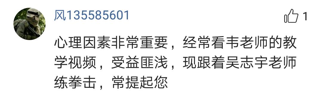 中国拳击拳王水平,中国拳王点评散打