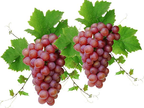 乳房按摩造成乳腺受伤,乳房按摩的不良后果