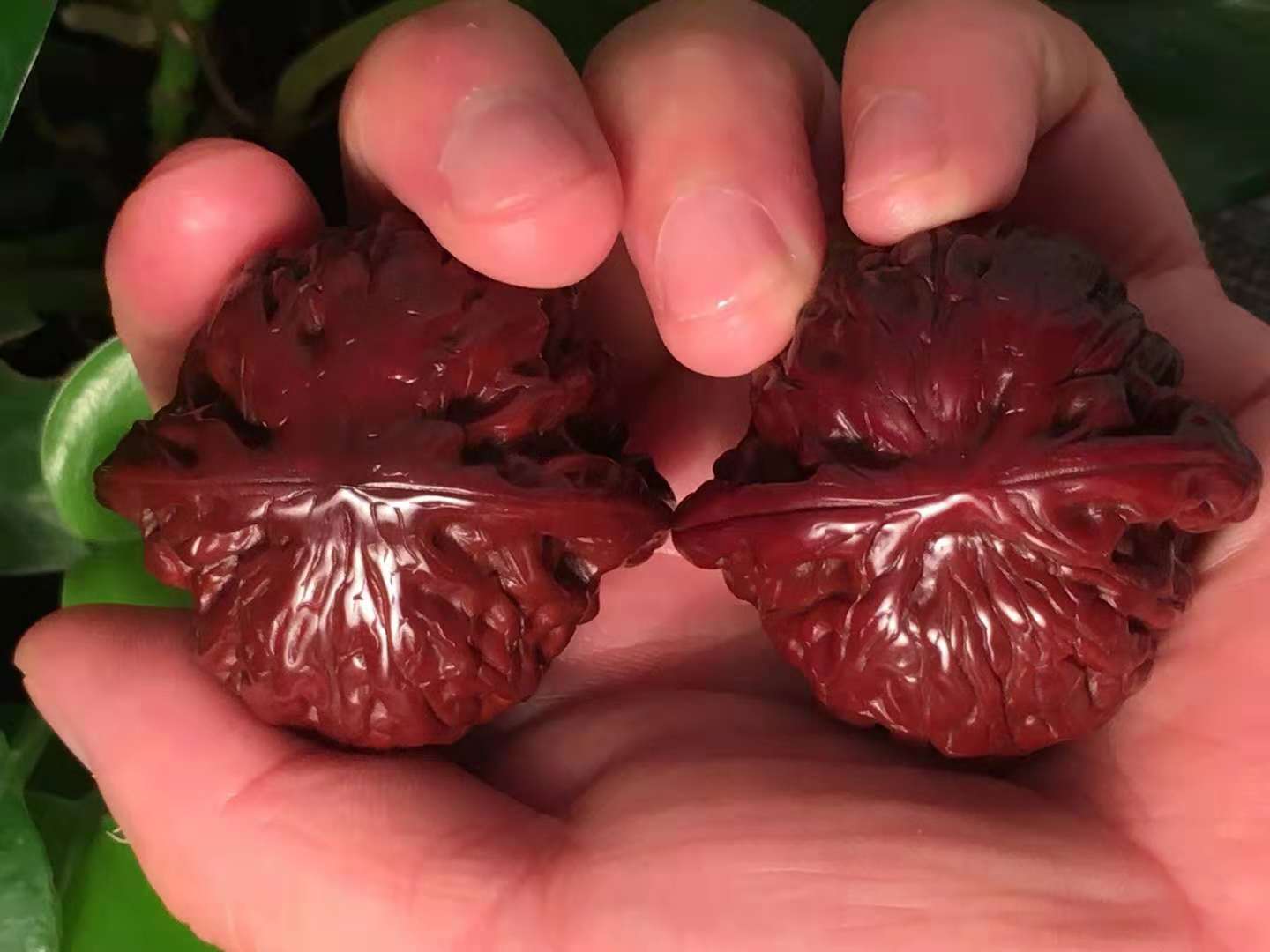 盘文玩核桃坏处,文玩核桃盘玩方法及注意事项