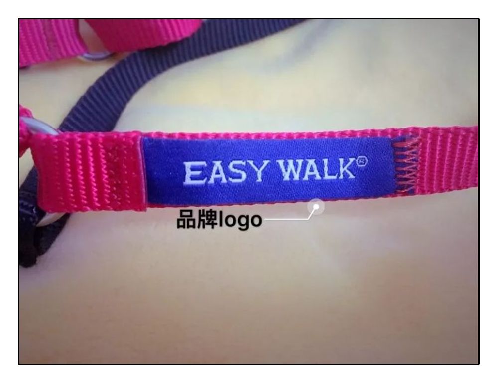 铲屎官安全注意事项,铲屎官遇到危险土狗