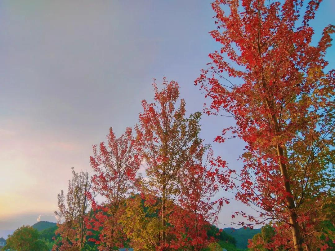 德化九仙山现场购票门票多少元,泉州德化九仙山风景区优惠团购