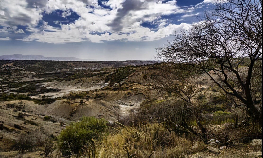 全球25个逆天*物文**