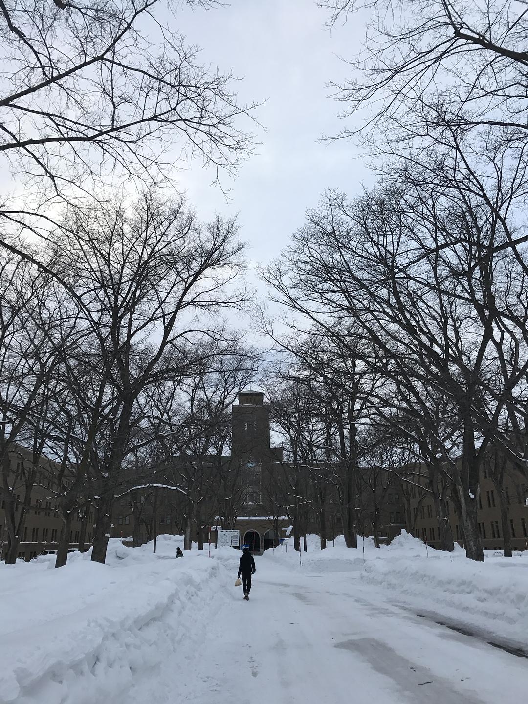 冬日里的童话,冬天里的童话小故事