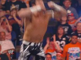 wwe最强的十大终结技,wwe十大最强必杀技