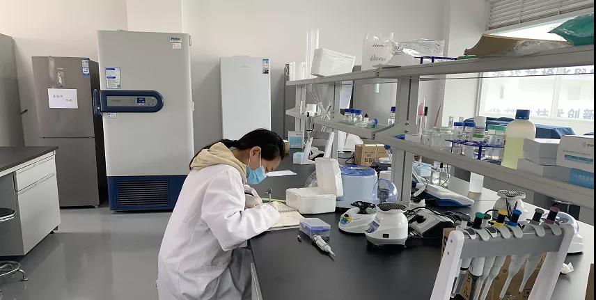 呈贡新区十周年,昆明市呈贡区花都