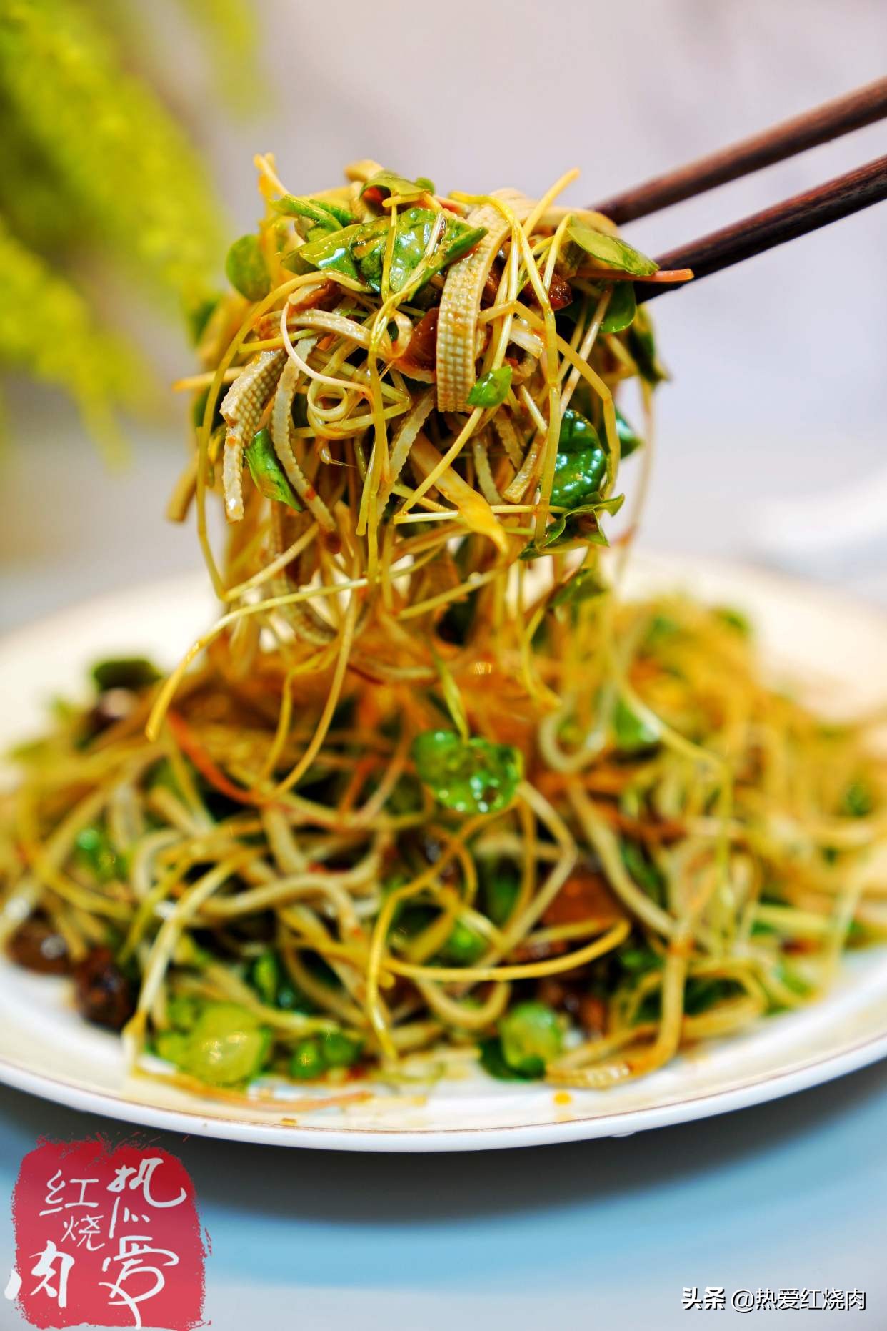 冬季如何撒种子种菜,冬季小花盆里可以种的菜