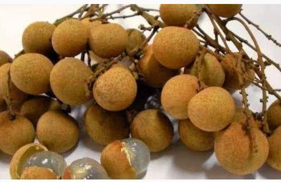 带龙字的4种水果,带龙的水果有哪几种