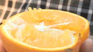 人间最美四月天春光正盛,人间最美四月天不负春风和暖阳