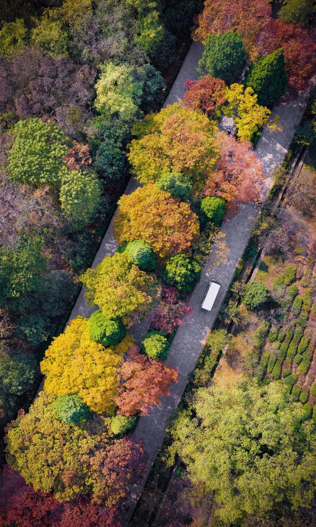 南京天空之镜高清图,中国五大惊艳世界的城市