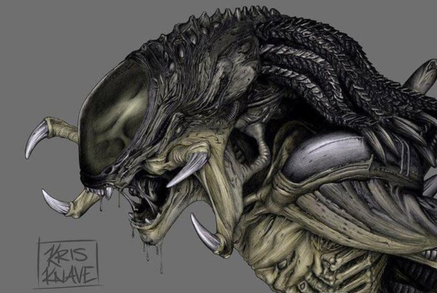 寮傚舰vs閾佽鎴樺+娣卞害瑙h,涔愰珮閾佽鎴樺+vs寮傚舰