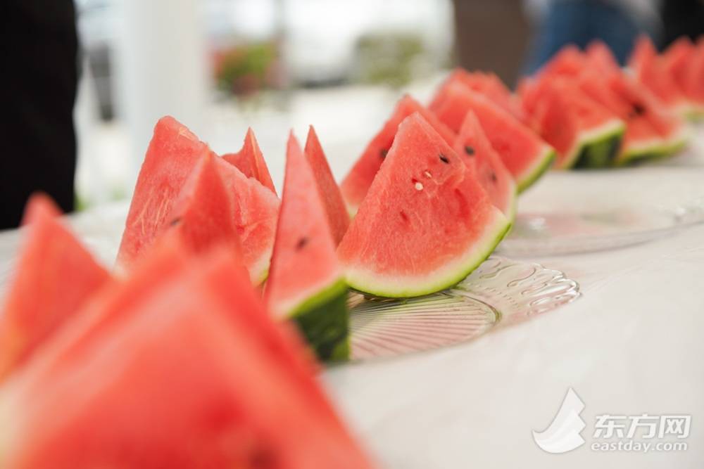 安徽8424西瓜产地批发多少钱一斤,今日西瓜价格最新行情8424