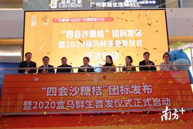 广东地区种植沙糖桔技术,柑桔标准化种植