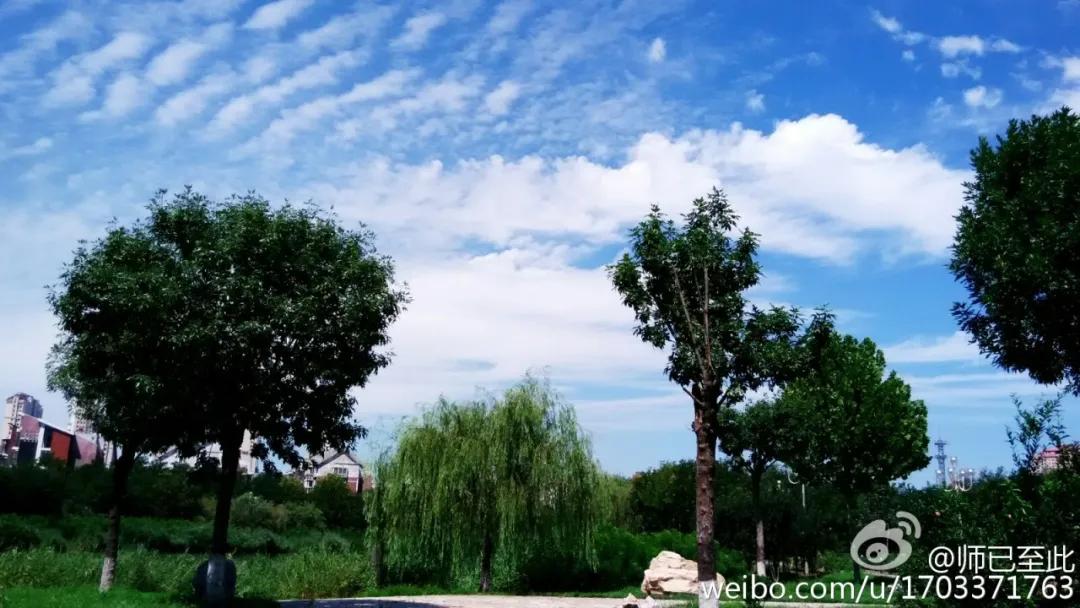 津南区打架,津南区打架视频