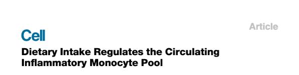 细胞饥饿疗法,细胞饥饿对细胞周期的影响