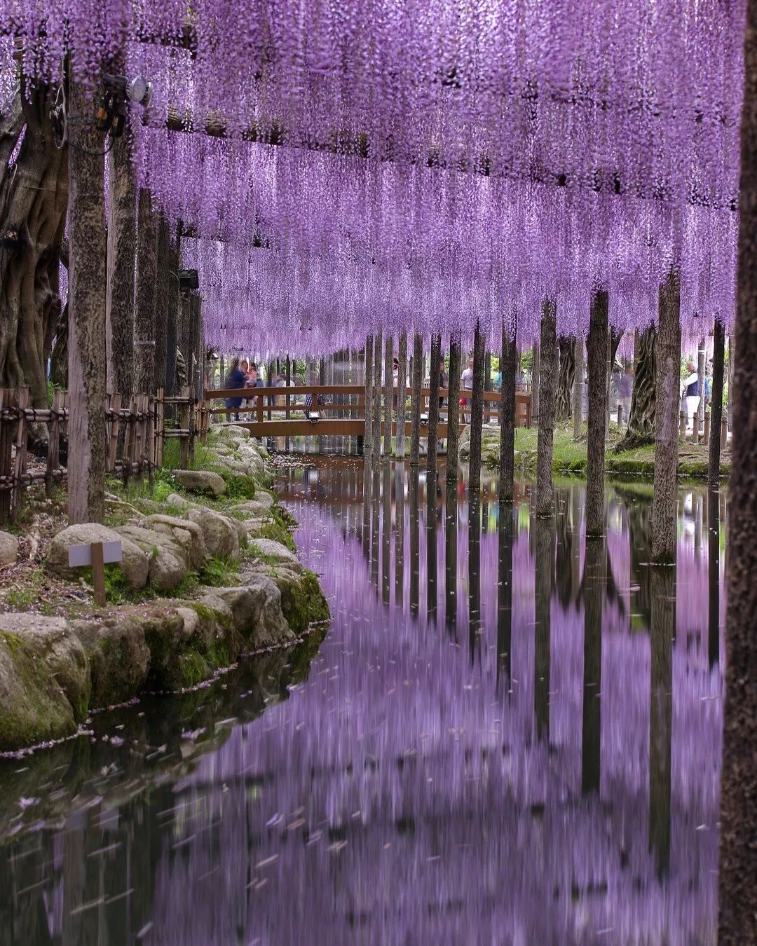日本名古屋有什么好吃的,名古屋美食大起底