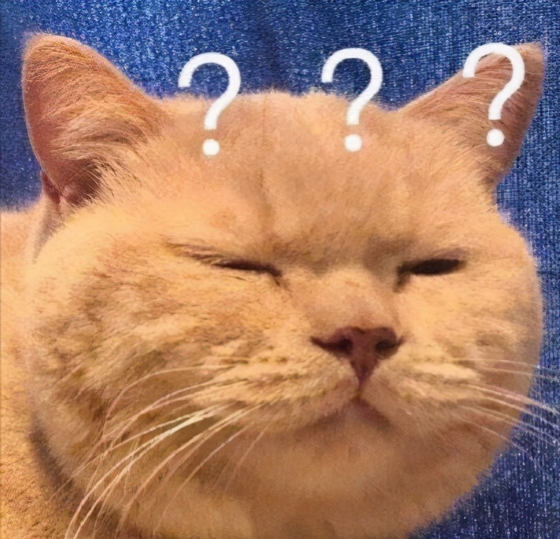 圣诞节送女友什么礼物好呀,圣诞节送什么礼物给情人最合适