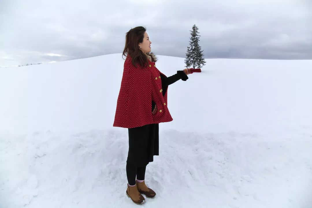 老实说，这一趟北海道就是为了拍好看的照片去的