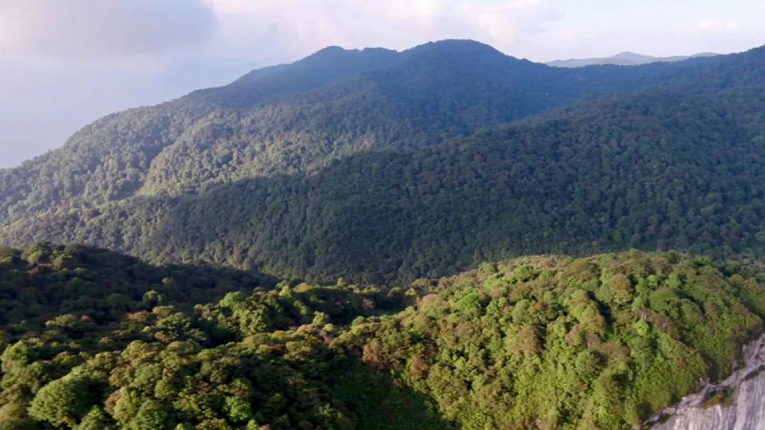 浠婃棩缇庨鎺ㄨ崘閲嶅簡灞辨按婧舵礊鐏攨,澶у▌灞辨柟绔圭瑡鐏攨