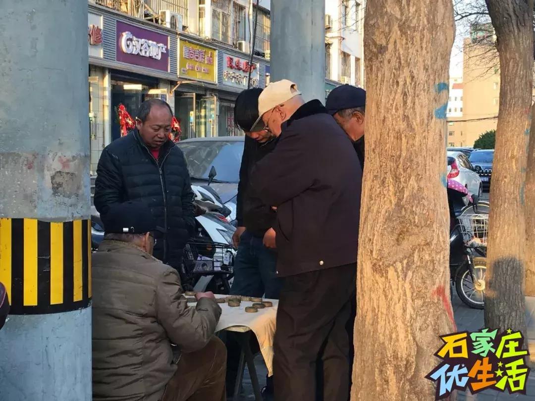 夹缝里生存,夹缝中生存