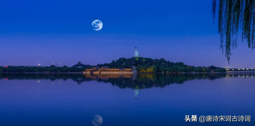 秋天最美的月光,秋天不可错过的枫叶