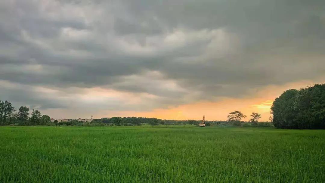 小李阿姨视频,小李阿姨生活视频