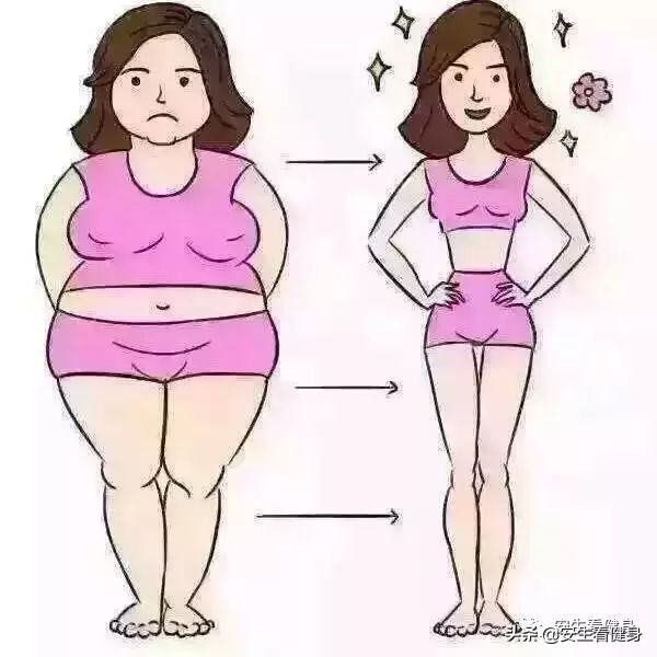 纯天然瘦身减肥营养素,减肥需要补充哪些营养素呢