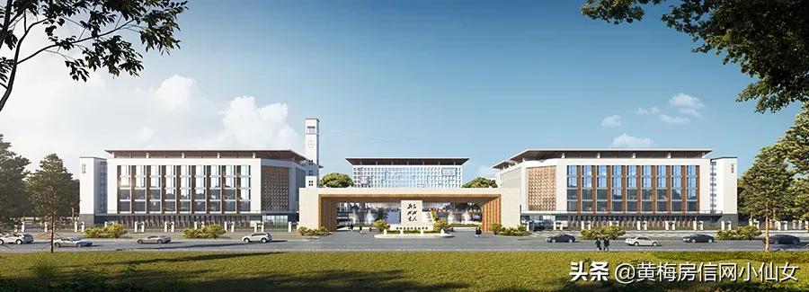 黄梅实验高中高考喜报,黄梅实验中学招生区域