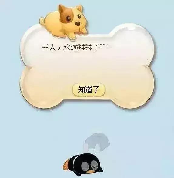 她陪了我20年：您的好友已注销……