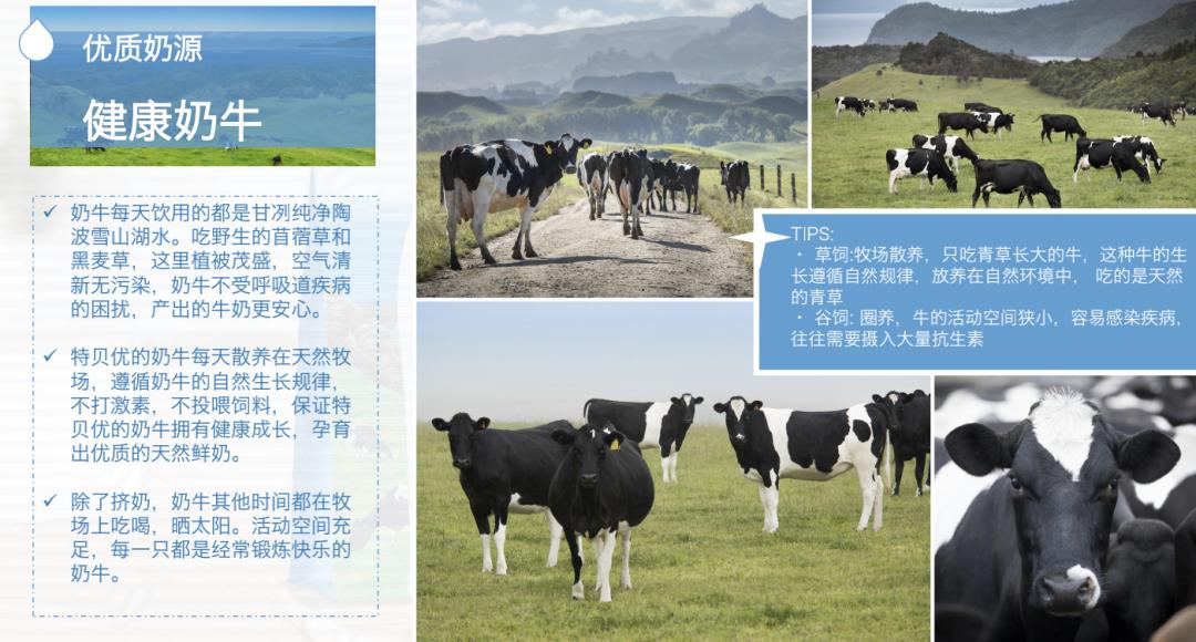 祝特贝优母公司Miraka液态奶销量达十亿盒