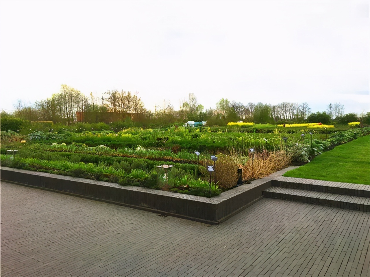 米其林餐厅三星美食试吃,米其林三星餐厅3000块能吃多少