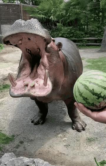 “兄弟睡觉压得胳膊都变色了，要不要叫醒他？”醒来一定很酸爽