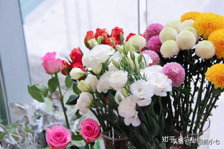 抖音爆火视频「毒鸡汤」情感分析，田园女权再次泛滥？