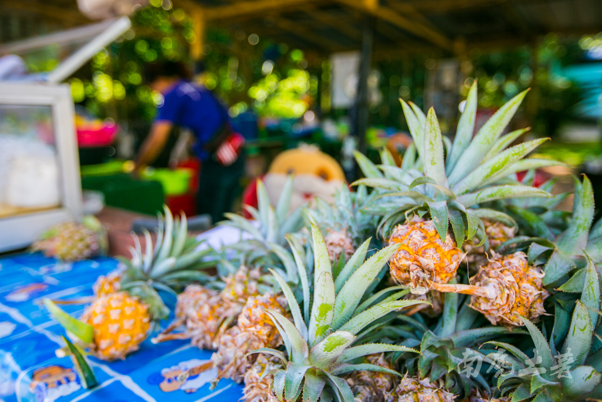 泰国最美梯田,泰国风景名胜有哪些