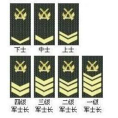 学校军训教官最高军衔,给学生军训的教官的军衔是真的吗